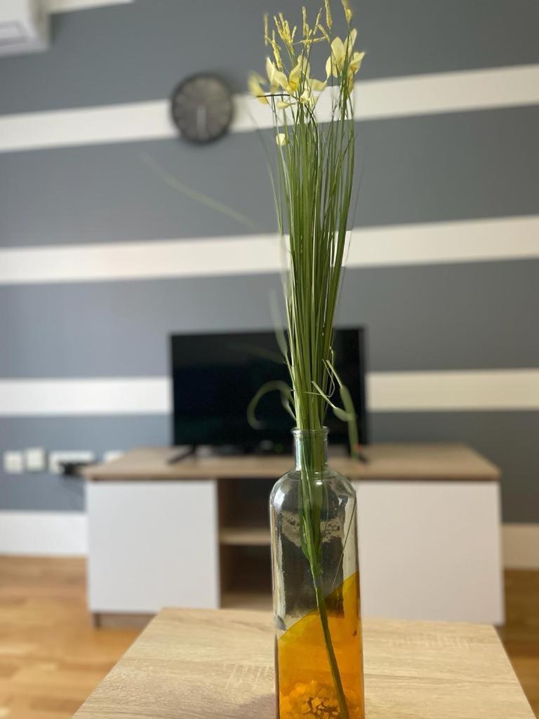 Naki Apartmani Podgorica Camera foto